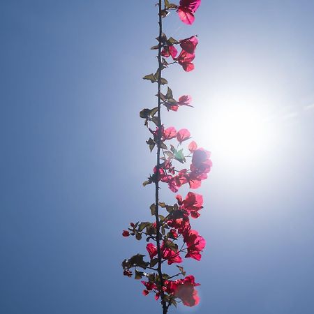 Aroma Studios Argostoli  Zewnętrze zdjęcie